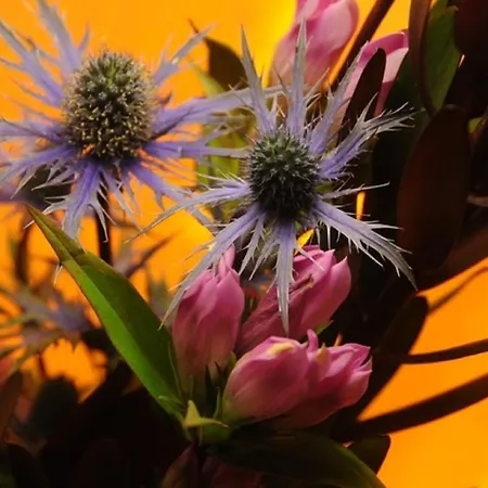 The Frenchgate Richmond (North Yorkshire)